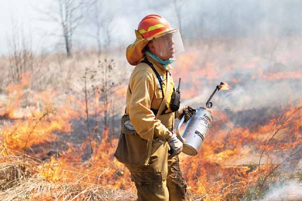 以「火」攻「火」的奇效 Fighting Fire with Fire