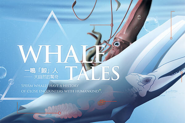 一鳴「鯨」人 ── 大自然的驚奇 Whale Tales