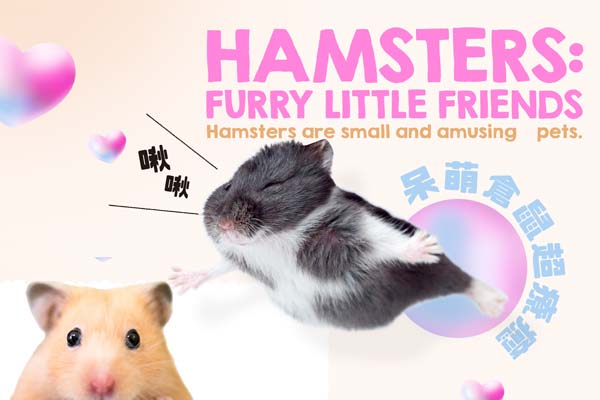 呆萌倉鼠超療癒 Hamsters: Furry Little Friends