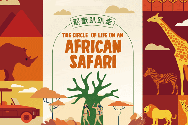 非洲野生動物之旅 African Safari