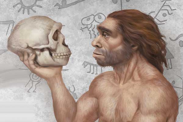 尼安德塔人:人類的遠房親戚? Neanderthals: Humans’ Distant Cousins