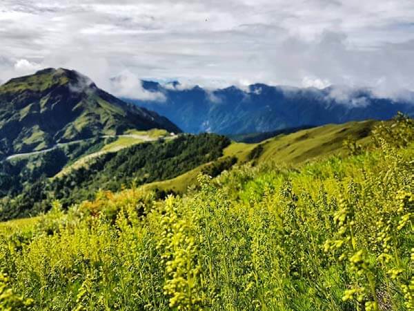 臺灣登山熱:全民一起瘋登山 The Mountains Are Calling