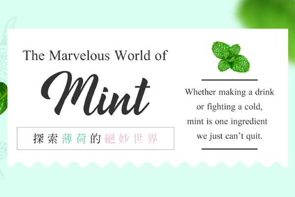 探索薄荷的絕妙世界 The Marvelous World of Mint