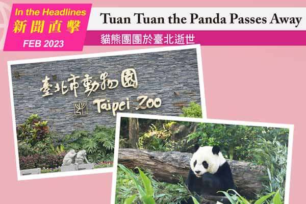 貓熊團團於臺北逝世 Tuan Tuan the Panda Passes Away