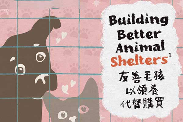 友善毛孩 以領養代替購買 Building Better Animal Shelters