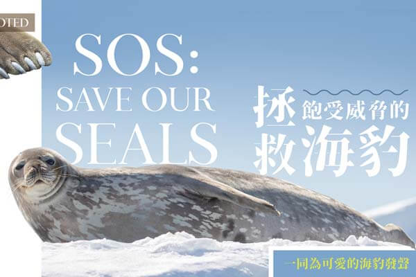 拯救飽受威脅的海豹 SOS: Save Our Seals