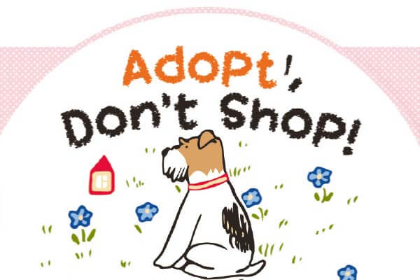 領養代替購買 Adopt, Don’t Shop!