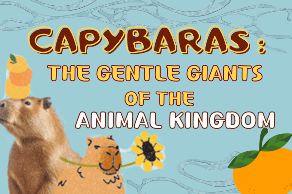呆萌水豚：動物界的社交之王 Capybaras: The Gentle Giants of the Animal Kingdom