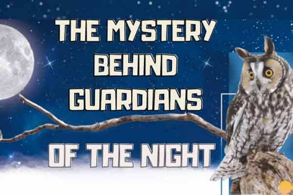 夜晚守護者的祕密 The Mystery behind Guardians of the Night