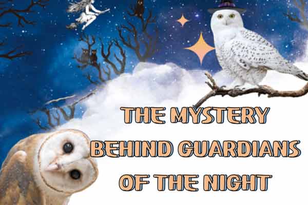 夜晚守護者的祕密 The Mystery behind Guardians of the Night