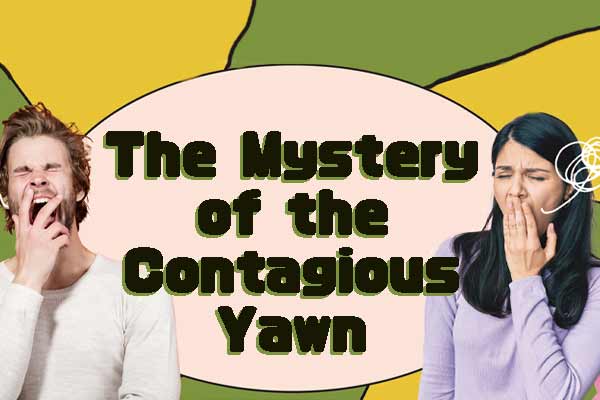 打哈欠真的會傳染嗎？ The Mystery of the Contagious Yawn