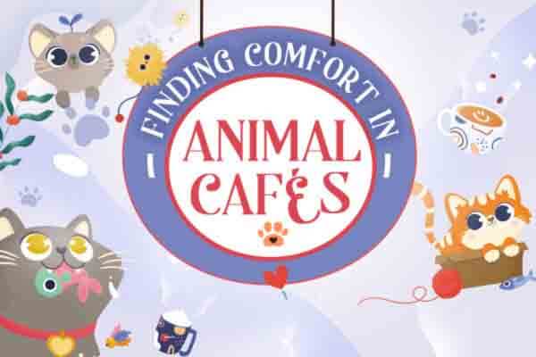 療癒你心～歡迎光臨動物咖啡廳！ Finding Comfort in Animal Cafés