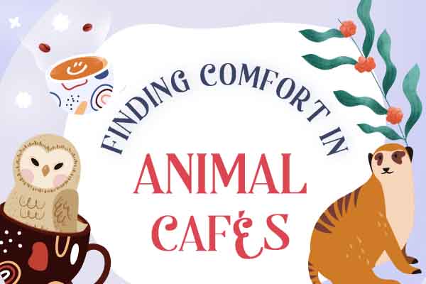療癒你心～歡迎光臨動物咖啡廳！ Finding Comfort in Animal Cafés