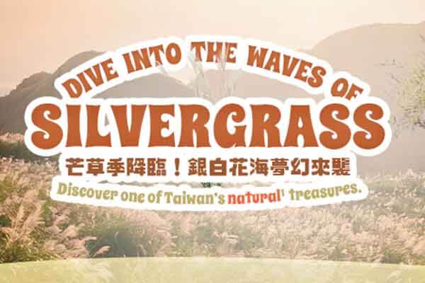芒草季降臨！銀白花海夢幻來襲 Dive into the Waves of Silvergrass