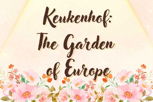 春天限定！歐洲花園庫肯霍夫 Keukenhof: The Garden of Europe