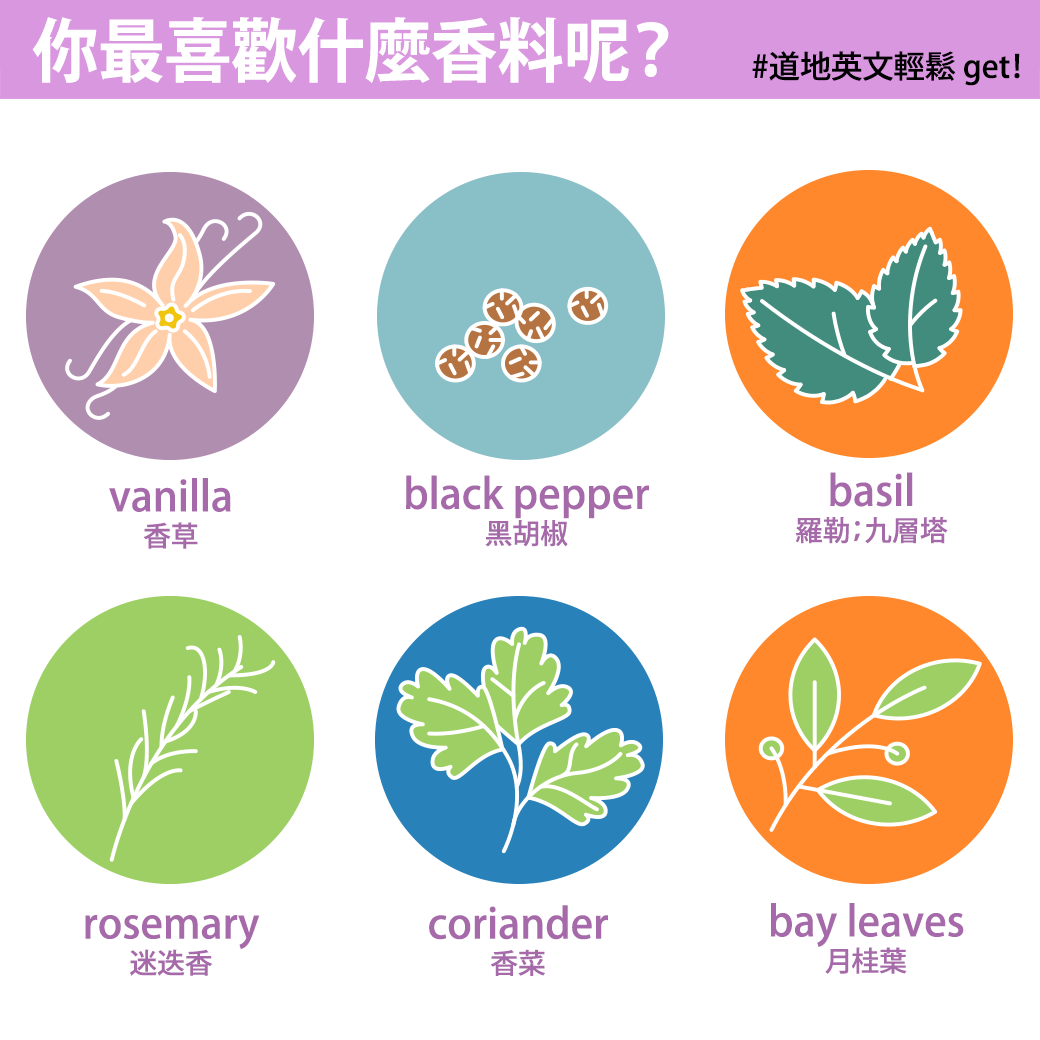 【圖解單字】西式菜餚常使用各種香料，你最喜歡哪一種？
