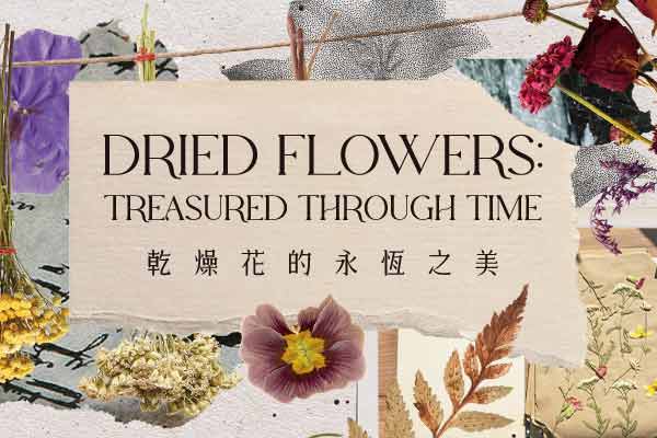 乾燥花的永恆之美 Dried Flowers: Treasured through Time
