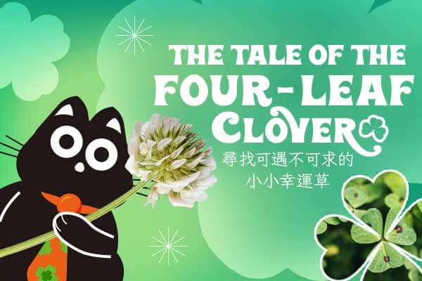 尋找可遇不可求的小小幸運草 The Tale of the Four-Leaf Clover
