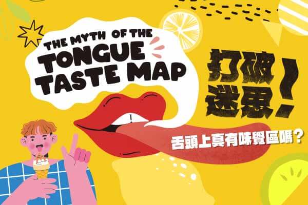 打破迷思！舌頭上真有味覺區嗎？The Myth of the Tongue Taste Map【本篇為全程英文講解】