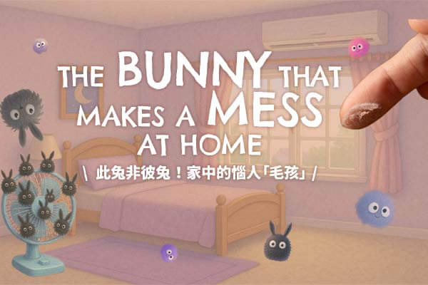 此兔非彼兔！家中的惱人「毛孩」The Bunny That Makes a Mess at Home