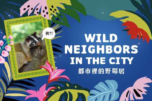 都市裡的野鄰居 Wild Neighbors in the City
