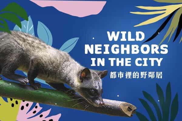 都市裡的野鄰居 Wild Neighbors in the City