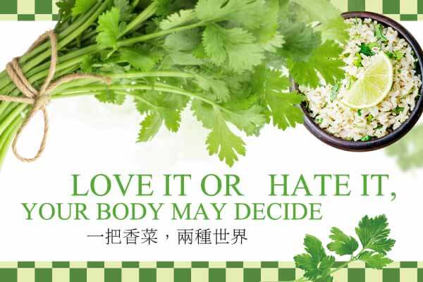 Love It or Hate It, Your Body May Decide　一把香菜，兩種世界