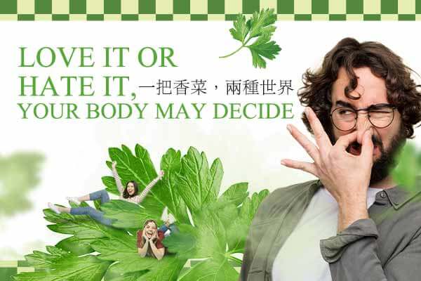 Love It or Hate It, Your Body May Decide　一把香菜，兩種世界