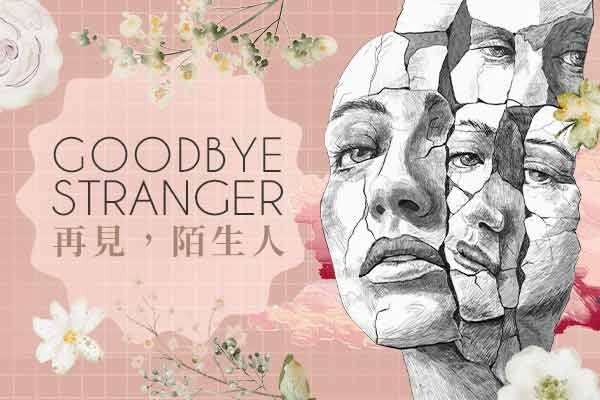 Goodbye Stranger再見，陌生人