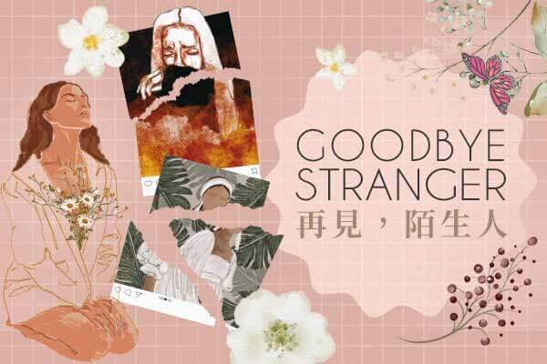 Goodbye Stranger再見，陌生人