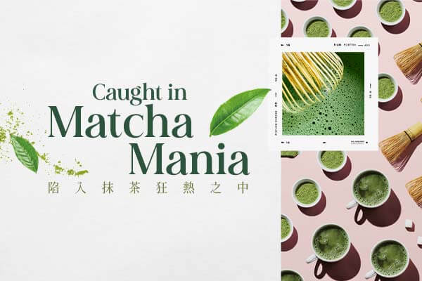 Caught in Matcha Mania陷入抹茶狂熱之中