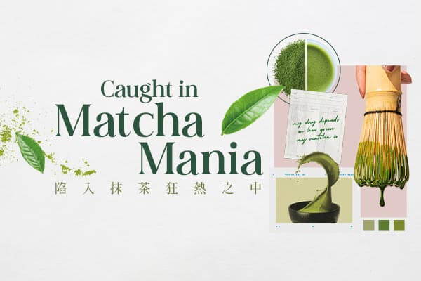Caught in Matcha Mania陷入抹茶狂熱之中