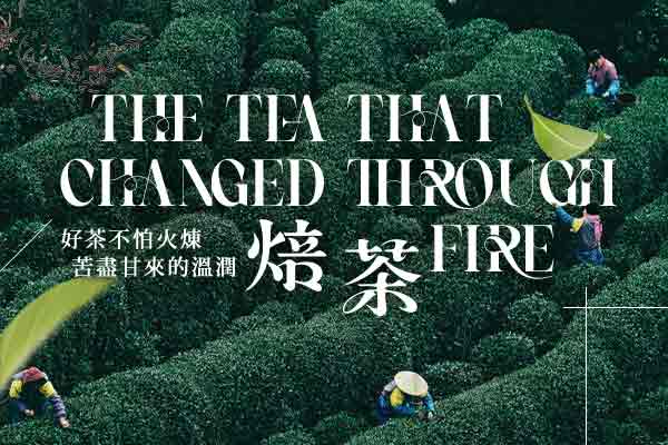 好茶不怕火煉　苦盡甘來的溫潤焙茶 The Tea That Changed through Fire　　
