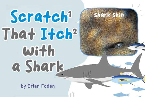 海洋界的不求人: 鯊魚皮可用來止癢 Scratch That Itch with a Shark