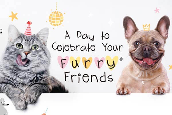 貓狗寶貝大節日! A Day to Celebrate Your Furry Friends