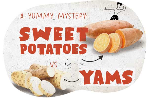 番薯?山藥?別傻傻分不清 A Yummy Mystery: Sweet Potatoes vs Yams