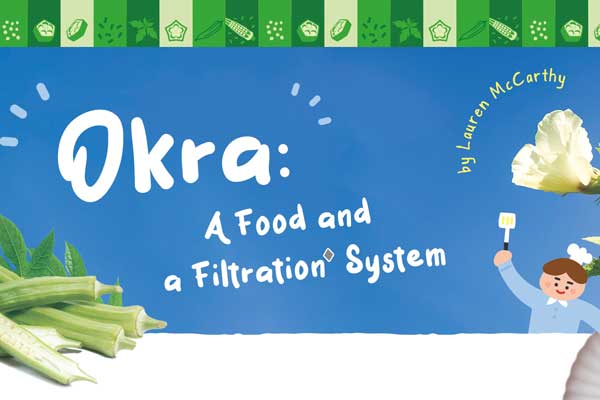 超級食物:秋葵! 還有淨水功能 Okra: A Food and a Filtration System