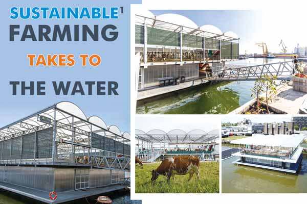 永續農業「水到渠成」! 漂浮在海上的農場 Sustainable Farming Takes to the Water