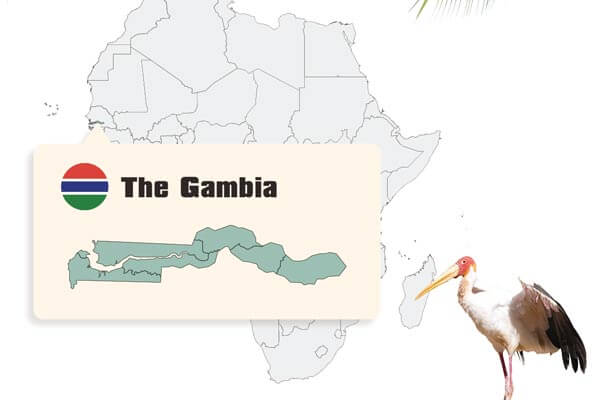 來一趟甘比亞祕境旅行 The Gambia: A Hidden Travel Destination