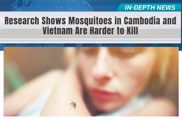 不怕殺蟲劑!抗藥蚊子現蹤亞洲 Research Shows Mosquitoes in Cambodia and Vietnam Are Harder to Kill
