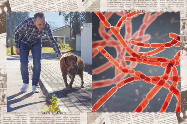 1. 葡萄牙獒犬波比 ──史上最長壽的狗  2. 生物恐怖主義: 人類面臨的下一個威脅