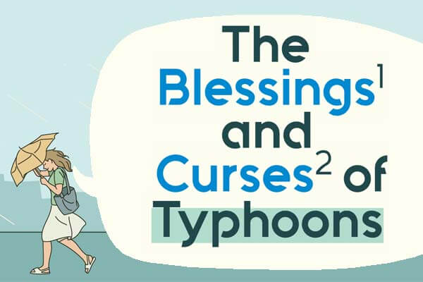 臺灣的颱風變少了，是福還是禍? The Blessings and Curses of Typhoons