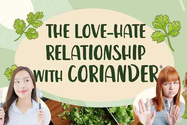 香菜是香還是怪  你是哪一派? The Love-Hate Relationship with Coriander