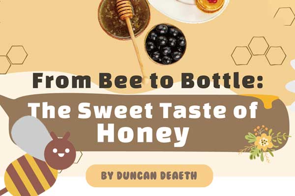 世上最貴的「液體黃金」! From Bee to Bottle: The Sweet Taste of Honey