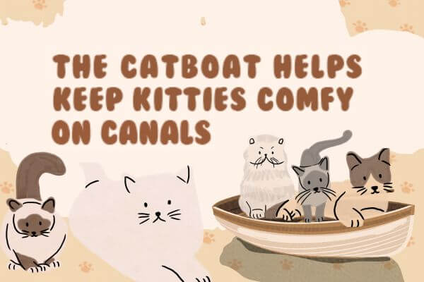 荷蘭貓船： 喵星人的諾亞方舟 The Catboat Helps  Keep Kitties Comfy  on Canals