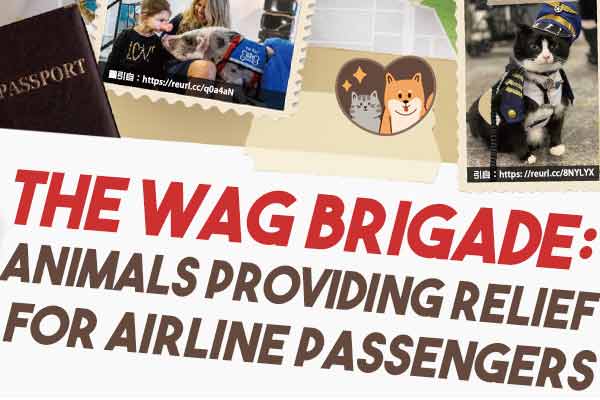 搭機焦慮嗎？來摸摸我吧！The Wag Brigade: Animals Providing Relief for Airline Passengers