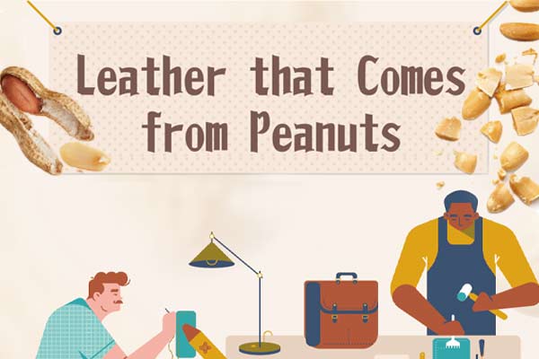 變變變！花生也能變皮夾！Leather that Comes from Peanuts