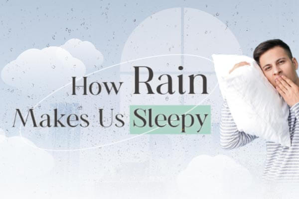 下雨天了怎麼辦～我好想睡～How Rain Makes Us Sleepy
