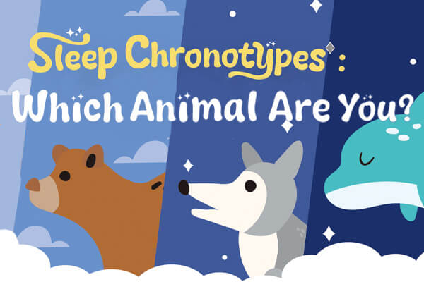 你的睡眠像哪種動物？ Sleep Chronotypes: Which Animal Are You?