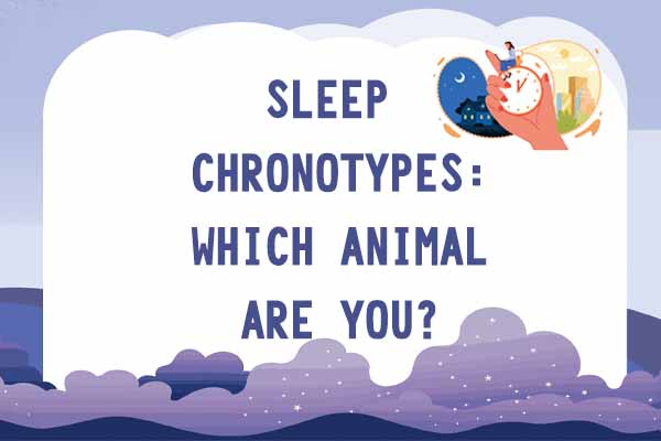 你的睡眠像哪種動物？ Sleep Chronotypes: Which Animal Are You?
